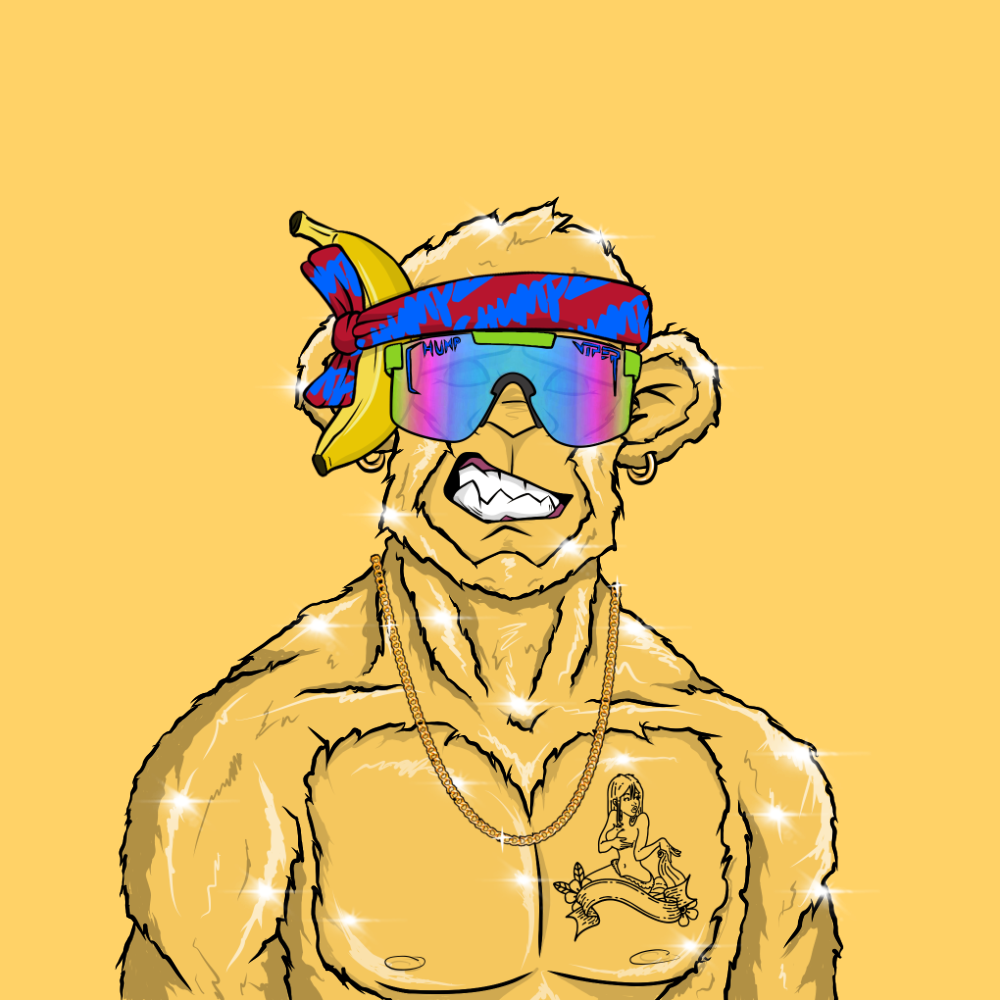 Gold Chumpz